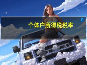 个体户所得税税率