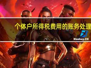 个体户所得税费用的账务处理（所得税费用的账务处理）