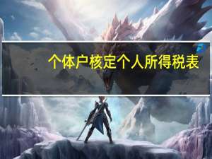 个体户核定个人所得税表（个体户核定个人所得税）