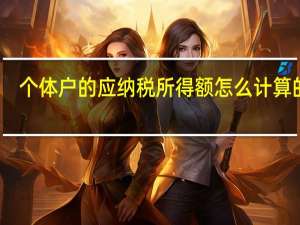 个体户的应纳税所得额怎么计算的呢