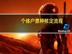 个体户票种核定流程