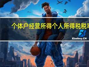 个体户经营所得个人所得税税率