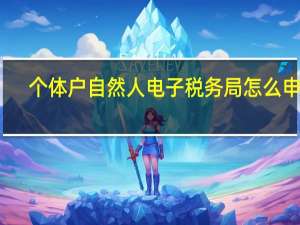 个体户自然人电子税务局怎么申报