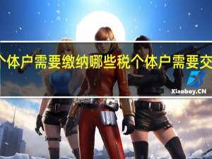 个体户需要缴纳哪些税个体户需要交哪些税