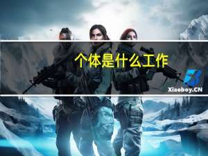 个体是什么工作