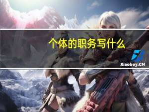 个体的职务写什么