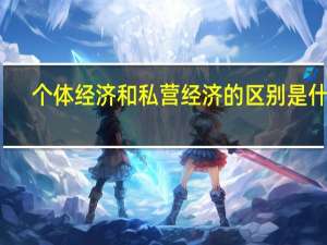 个体经济和私营经济的区别是什么