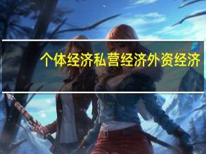 个体经济私营经济外资经济（宪法规定 在法律规定范围内的个体经济 私营经济等非公有）