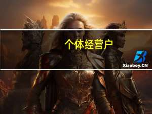 个体经营户（个体经营户和公司的区别）