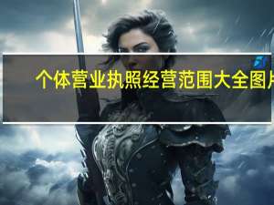 个体营业执照经营范围大全图片（个体营业执照经营范围大全）