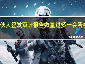 个别合伙人签发审计报告数量过多 一会所被出具警示函