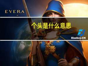 个头是什么意思
