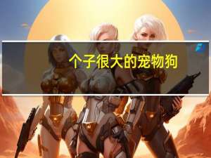 个子很大的宠物狗