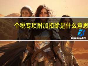 个税专项附加扣除是什么意思