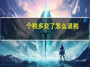 个税多交了怎么退税