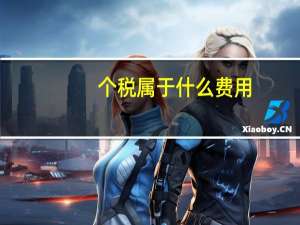 个税属于什么费用