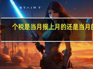 个税是当月报上月的还是当月的