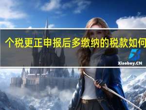 个税更正申报后多缴纳的税款如何退回（个税更正申报）