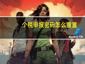 个税申报密码怎么重置
