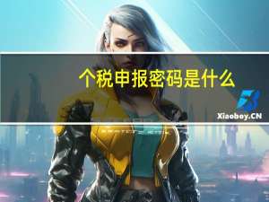 个税申报密码是什么