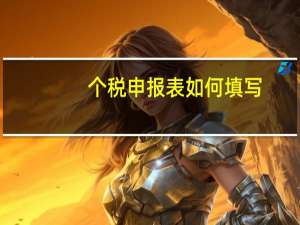 个税申报表如何填写