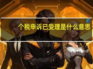 个税申诉已受理是什么意思