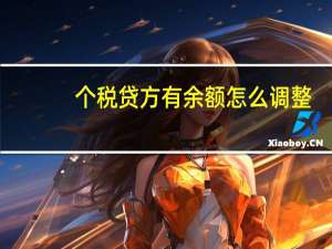 个税贷方有余额怎么调整