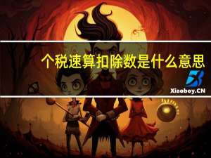 个税速算扣除数是什么意思