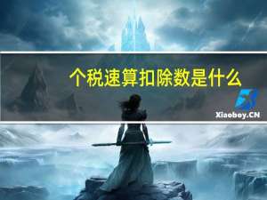 个税速算扣除数是什么