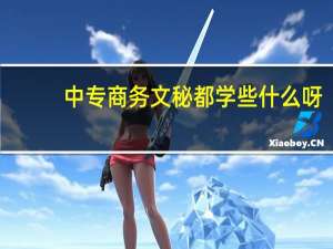 中专商务文秘都学些什么呀