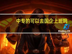 中专的可以去国企上班吗
