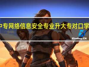 中专网络信息安全专业升大专对口学校多吗