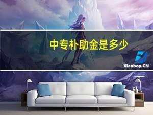 中专补助金是多少