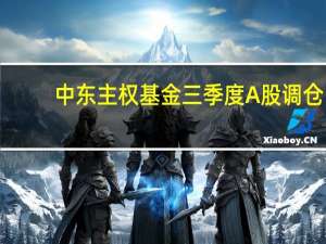 中东主权基金三季度A股调仓：阿布扎比净买入、科威特净卖出