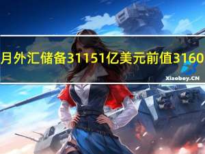 中中国9月外汇储备31151亿美元前值31601亿美元