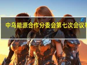 中乌（兹别克斯坦）能源合作分委会第七次会议举行