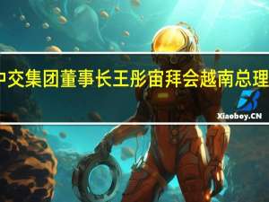 中交集团董事长王彤宙拜会越南总理范明政