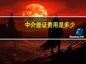 中介签证费用是多少