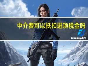 中介费可以抵扣进项税金吗