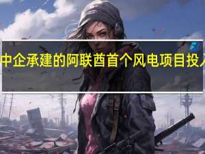中企承建的阿联酋首个风电项目投入运营