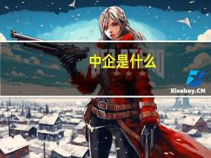 中企是什么