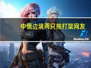 中俄边境两只熊打架 网友：打的还挺激烈