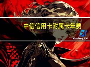 中信信用卡附属卡年费（中信信用卡附属卡申请）