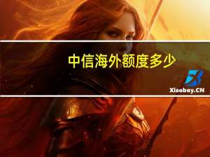 中信海外额度多少