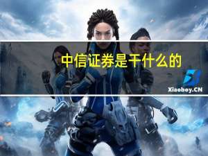 中信证券是干什么的