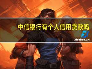 中信银行有个人信用贷款吗（中信银行有个人贷款么）