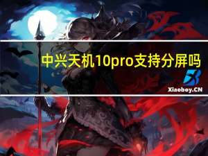 中兴天机10pro支持分屏吗（中兴天机10pro）