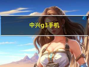 中兴g3手机（中兴U88O手机）