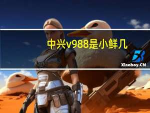 中兴v988是小鲜几（中兴v988）