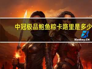 中冠 极品鲍鱼粽卡路里是多少